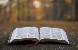 bible-250x160